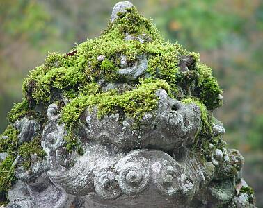 古峰神社４吽の顔