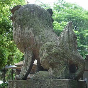 成田熊野神社の狛犬