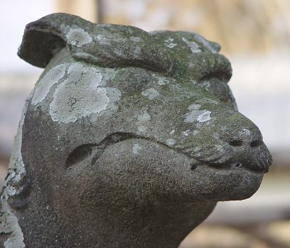 椋神社吽の顔